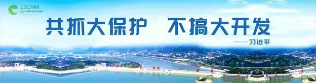 沙巴体育